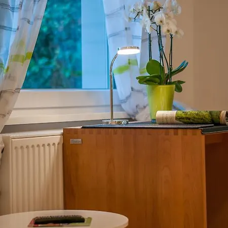 Haus Vis A Vis Apartment *